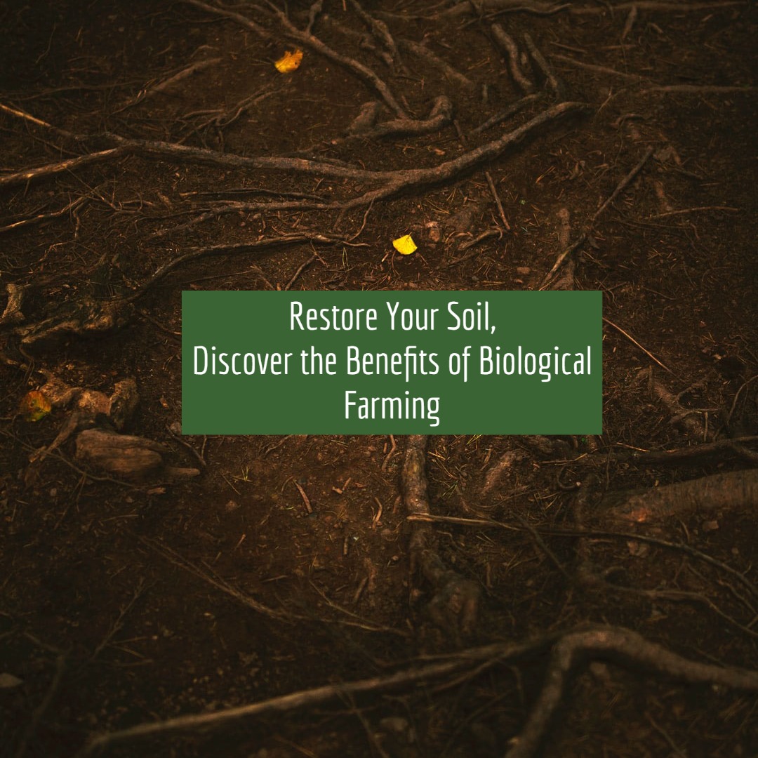 restore your soil through biological farming
