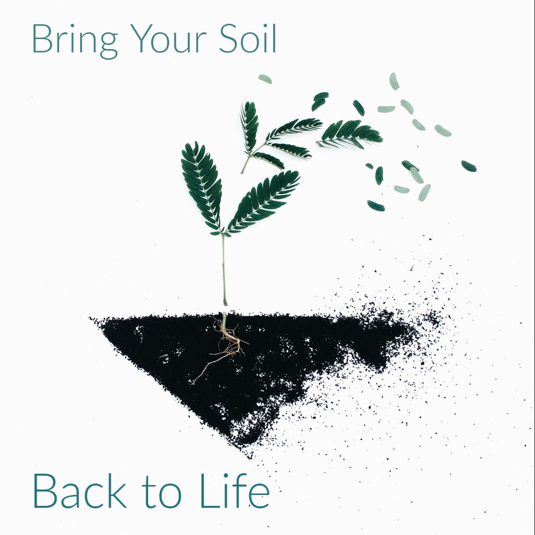 bring your soil back to life