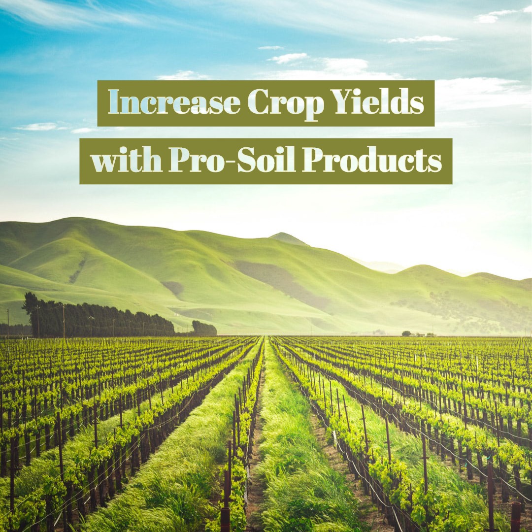 pro-soil-lynn-hoover-increased-crop-yields-with-pro-soil