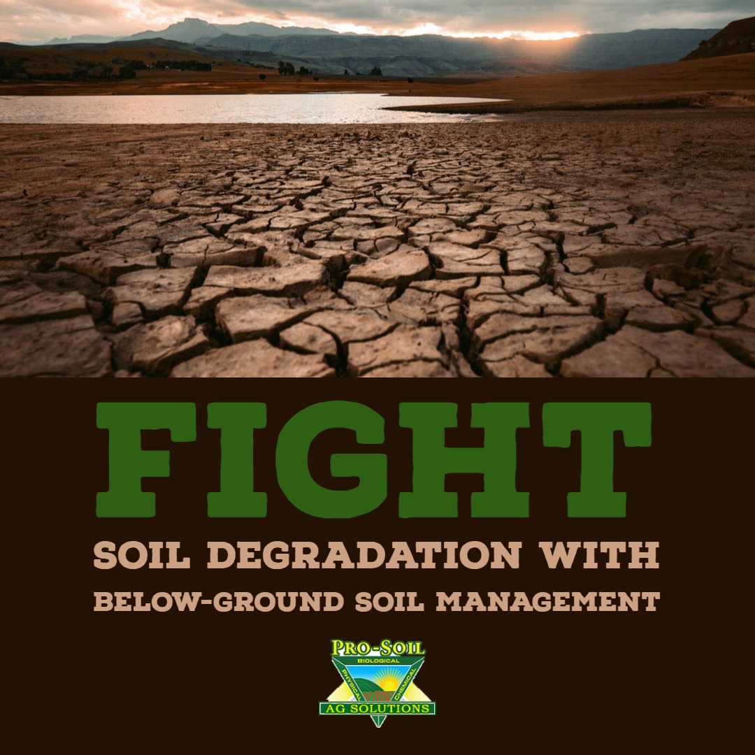 Barren soil to demonstrate soil degradation